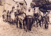 Farm work, Frederick County, VA